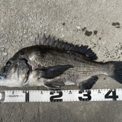 イチノ兄弟、釣果！