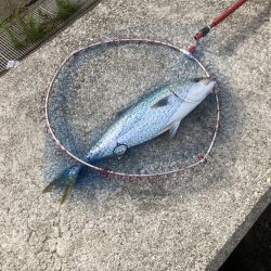 やはり体力がない