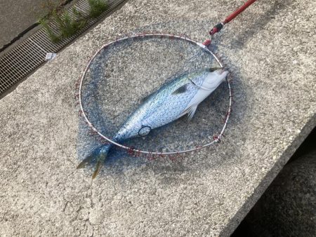 やはり体力がない