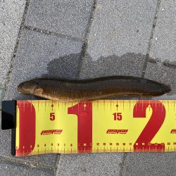 小さな岩の隙間を探っていくと…