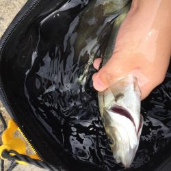 ファミリーフィッシング1