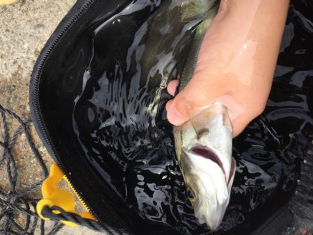 ファミリーフィッシング1