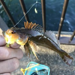 チャリコの季節。マナーが悪い時期