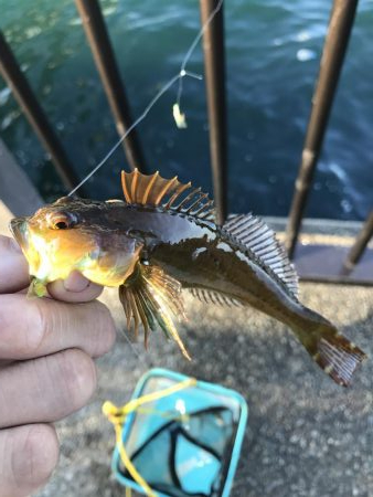 チャリコの季節。マナーが悪い時期