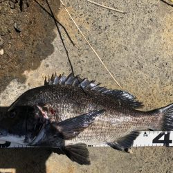 イチノ兄弟、釣果!