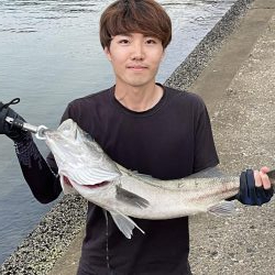 人生初シーバス