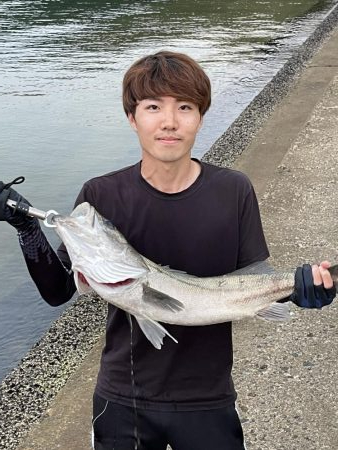 人生初シーバス