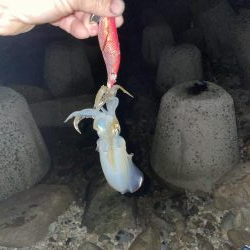 台風の影響は？