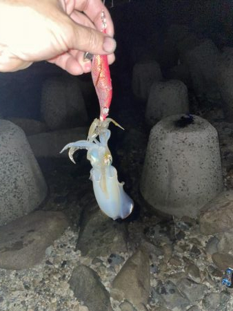 台風の影響は？