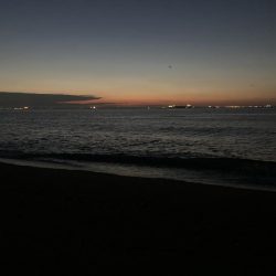 ジグサビキでアジ釣り