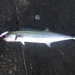 早起きは三文の得