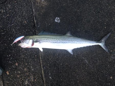 早起きは三文の得