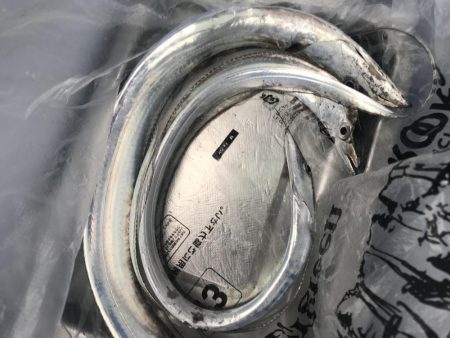 朝マズメの太刀魚釣り