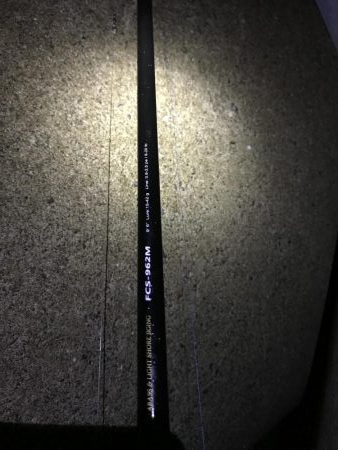 ワインド太刀魚