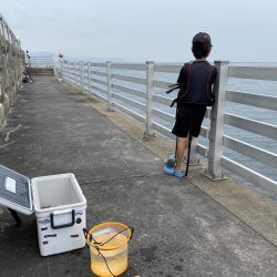 穴釣りでショウジンガニ、ガシラが釣れた!