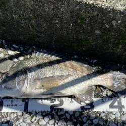 イチノ兄弟、釣果!