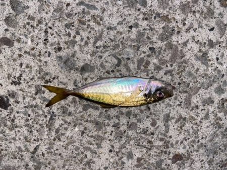 深夜のライトゲーム