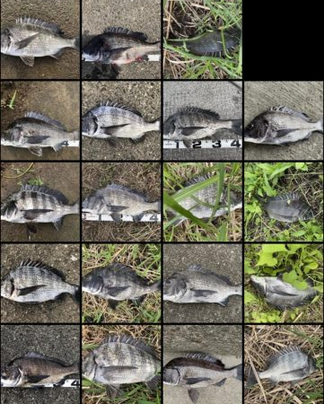 イチノ兄弟、釣果！