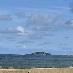 ベイトの戯れ　2