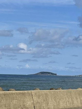 ベイトの戯れ　2