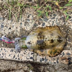 長時間耐久の結果は？