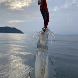 ソリッドティップ感度良好