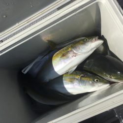 カヤックで初の獲物