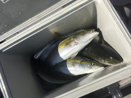 カヤックで初の獲物