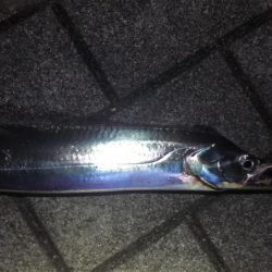 南港ショアタチスタート!