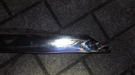 南港ショアタチスタート!