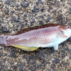 小物ばかりです