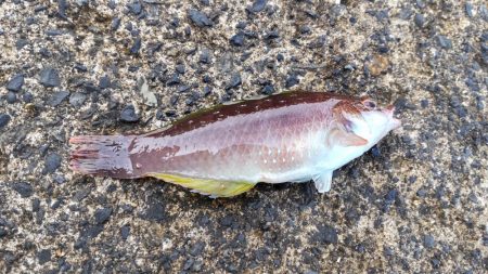 小物ばかりです