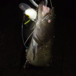 なかなか乗せきれず