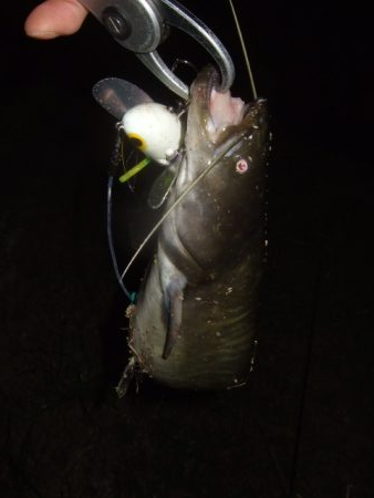 なかなか乗せきれず