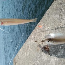 日ムラの激しい播磨新島のキス