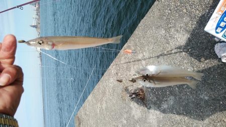 日ムラの激しい播磨新島のキス