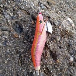 TEAMゲッソー調査隊