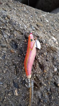 TEAMゲッソー調査隊