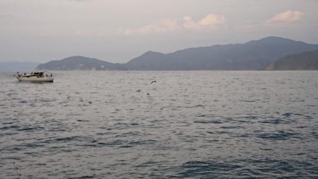 アタリが分かるようになってきました。