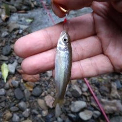 秋の夕暮れチャビング