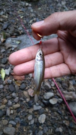 秋の夕暮れチャビング