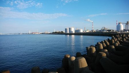 高砂港のキス調査