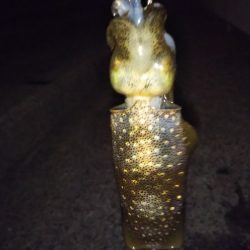 アオリイカ新子調査Ⅲ