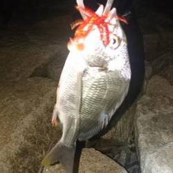 久しぶりの釣り