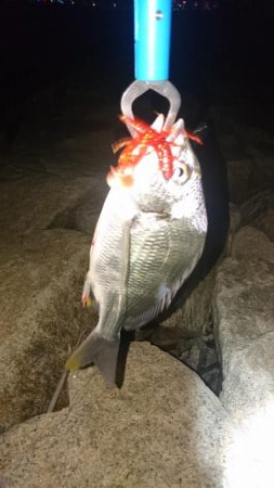 久しぶりの釣り