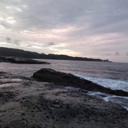 地磯プラッキング