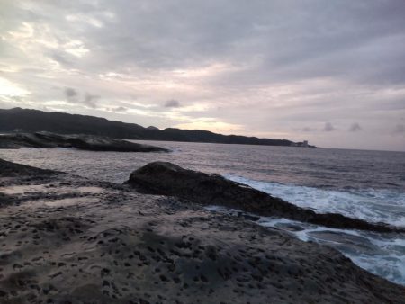 地磯プラッキング