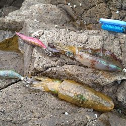 波高1メートルのエギング