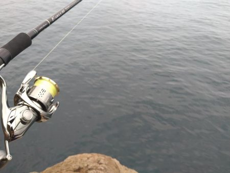 磯シーバスゲット