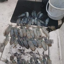 ボートキャスティングエギング